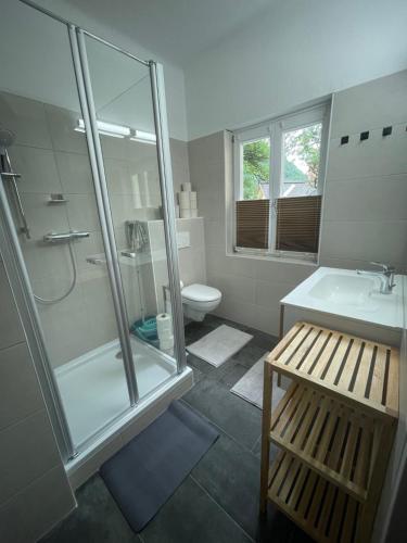 a bathroom with a shower and a sink and a toilet at am Kalvarienberg Villenapartment & Hostel Bad Ischl in Bad Ischl