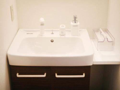 a bathroom with a white sink and a counter at RONENAI BASE in Biei