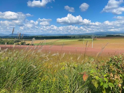 a field with tall grass and a dirt road at RONENAI BASE in Biei