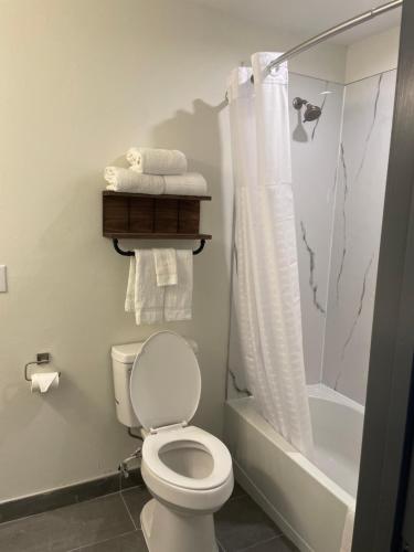 a bathroom with a toilet and a shower and a tub at Ramada by Wyndham Studio Suites Dothan in Dothan