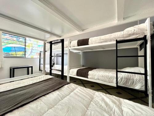 a bedroom with two bunk beds and a window at WHOST Hotel y Hostal in Mexico City