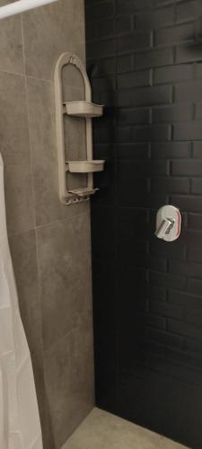 een badkamer met een douche en een toiletpapierhouder bij Monoambiente totalmente equipado y centrico in Cochabamba