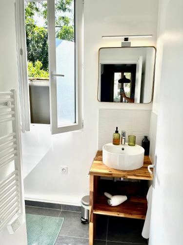 une salle de bain avec un lavabo et un miroir dans l'établissement Cosy House Near Paris, CDG Airport + parking, à Aulnay-sous-Bois