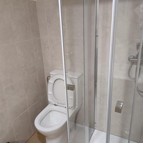 a bathroom with a toilet and a shower at Guesthouse Monsanto in Porto