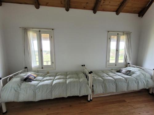two beds in a room with two windows at Casa en barrio de Chacras Las Perdices in Carmelo