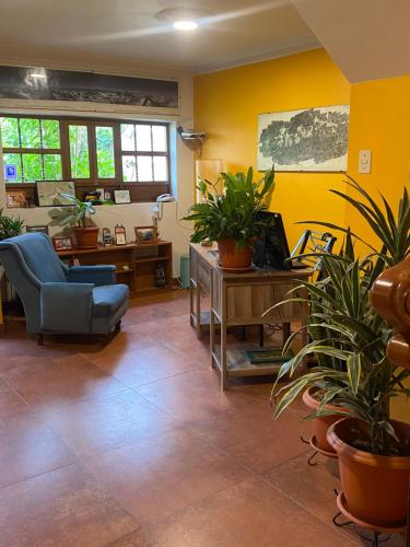a living room filled with lots of potted plants at La Casa de Zarela in Huaraz