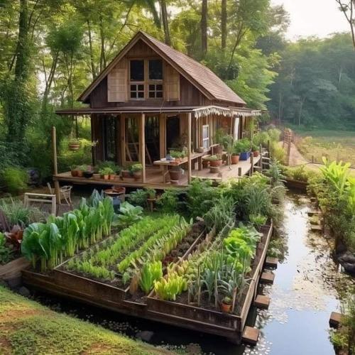 une maison avec un jardin au milieu d'une rivière dans l'établissement Lavin Soka Homestay, 