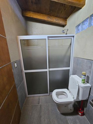 a bathroom with a toilet and a shower stall at Alojamiento Zapala - Sakin in Zapala