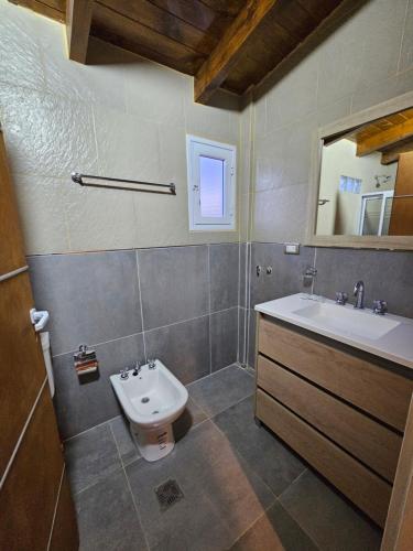 a bathroom with a sink and a toilet and a mirror at Alojamiento Zapala - Sakin in Zapala