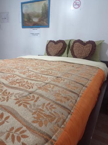 1 cama con edredón y almohadas en ESCOCIE-PLAZA G, en Quito