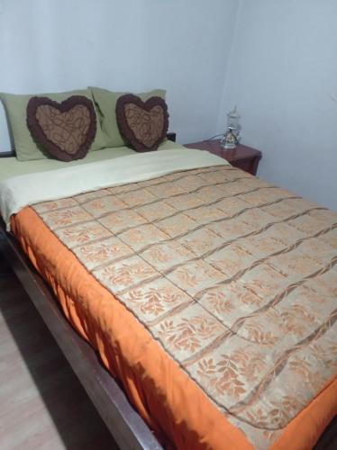 1 dormitorio con 1 cama grande y 2 almohadas en ESCOCIE-PLAZA G, en Quito