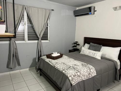 聖胡安的住宿－Blu Lime Apartments，一间卧室设有一张床和一个窗口