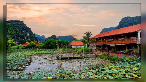 a pond filled with lily pads in front of a building at Trang An Homestay in Ninh Binh