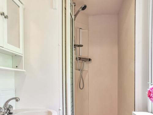 a shower in a bathroom next to a sink at Meadow View Van - Uk44667 in Neatishead
