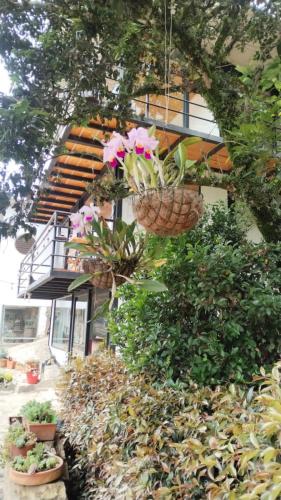 Zahrada ubytování Rancho Las Tres Marías Hospedaje Rural Mi Refugio