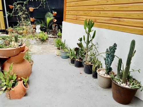 Un jardín fuera de Villa Leon