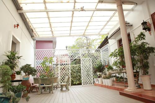 a patio with a bunch of potted plants at Thang Loi BTX Hotel in Da Lat