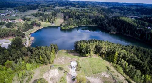 an aerial view of a lake in the woods at Svečių namai ALDAIVITA in Ignalina