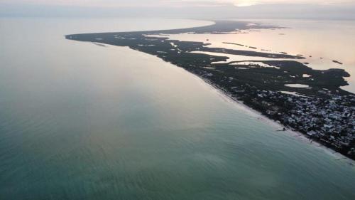 Rhincodon Typus, Holbox Eco•Boutique•Palapas en Isla Holbox