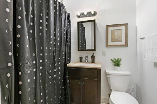 baño con cortina de ducha negra y aseo en Charming 3BR Chicago Apt in Prime Location, en Chicago