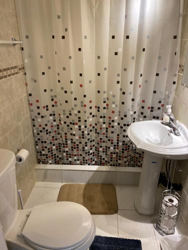 a bathroom with a shower with a toilet and a sink at Windsor Airport Accommodation in Windsor