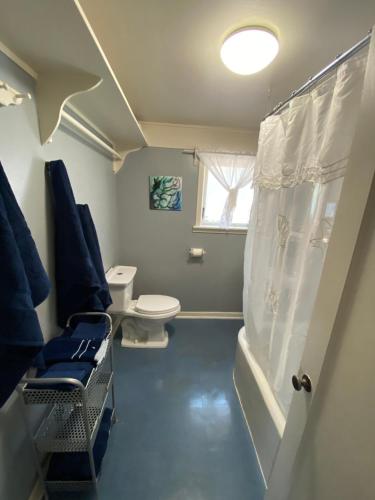 a bathroom with a toilet and a tub and a sink at Ocean Park Beach Cottage in Ocean Park