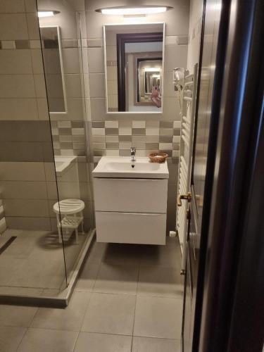 a bathroom with a white sink and a shower at Matrix Hotel in Tecuci