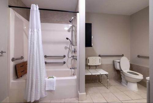 a bathroom with a shower and a toilet at Downtown Dover Inn in Dover