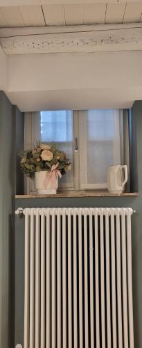 a radiator in a kitchen with a window and a plant at small miramare appartamento sogno sul mare in Trieste