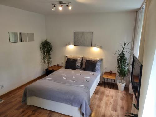 ein Schlafzimmer mit einem Bett und zwei Topfpflanzen in der Unterkunft Apartament przy Stadionie Free Parking in Bolesławiec