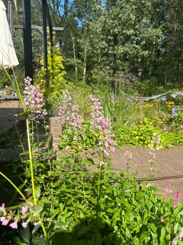 a garden filled with lots of different colored flowers at B&B Sur Place in Huizen