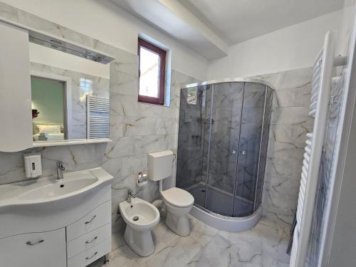 a bathroom with a shower and a toilet and a sink at Colț de Rai in Hîrtoape