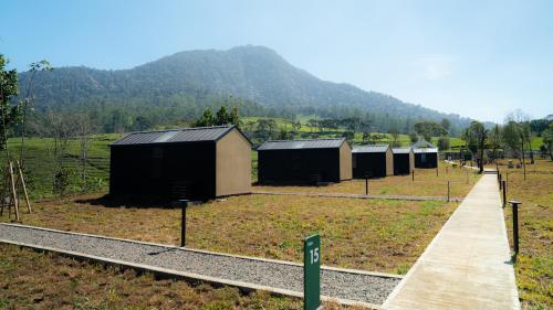a row of huts in a field with a mountain at Bobocabin Pangalengan, Bandung in Pengalengan