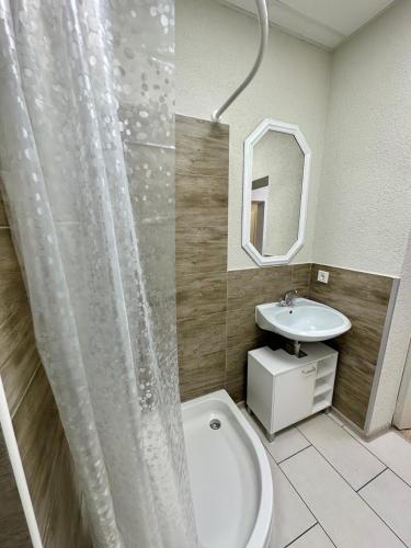 a bathroom with a shower curtain and a sink at Neuwertiges Apartment mit schnellem WLAN, Glasfaser, Kostenlose Privatparkplatz auch für Transporter geeignet R2 in Freiberg am Neckar