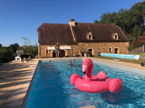 une piscine avec un flamant gonflable en face d'une maison dans l'établissement Villa spacieuse avec piscine chauffée, à coté de Sarlat, à Carmensac