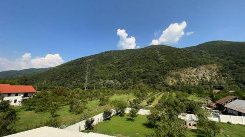 Blick auf einen Berg mit einem Haus und Bäumen in der Unterkunft Casa Giulia in Băile Herculane