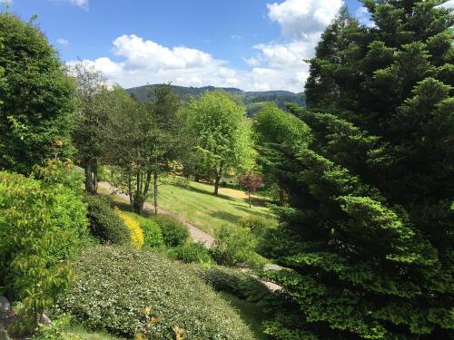 a view of a garden with trees and a stream at Le Manoir Au Lac in Gérardmer