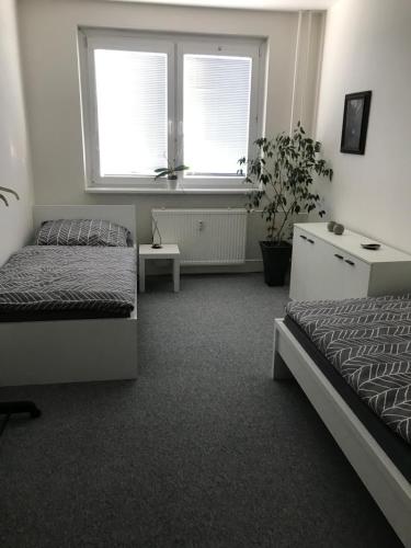 a bedroom with two beds and a window at Ubytování U Kapličky in Olomouc