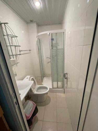 ein Bad mit einer Dusche, einem WC und einem Waschbecken in der Unterkunft Zoratc QARER in Sisian