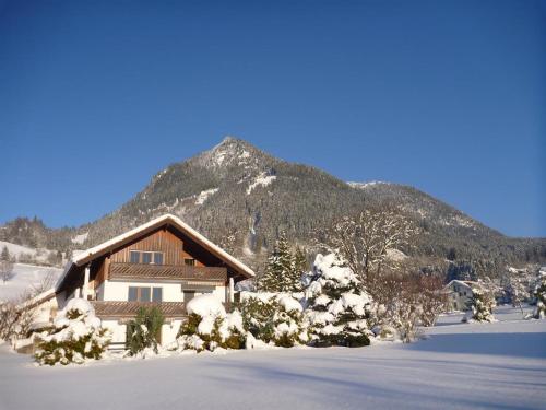 a house in the snow with a mountain in the background at Ferienwohnung Stoll Helga in Burgberg
