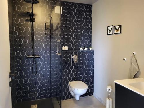 a bathroom with a shower with a toilet and a sink at Sibbu Hús in Brjansstadir