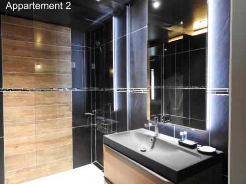 een badkamer met een wastafel en een douche bij Love Room Narbonne in Narbonne