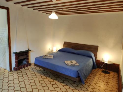 een slaapkamer met een blauw bed en een open haard bij Affittacamere Esteban in Villa Opicina