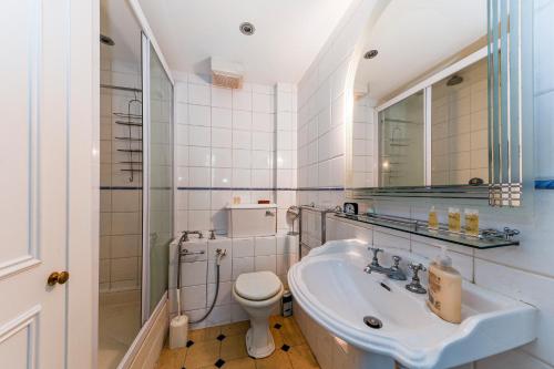 a bathroom with a sink and a toilet and a mirror at HydePark Queens Gate Apt in London