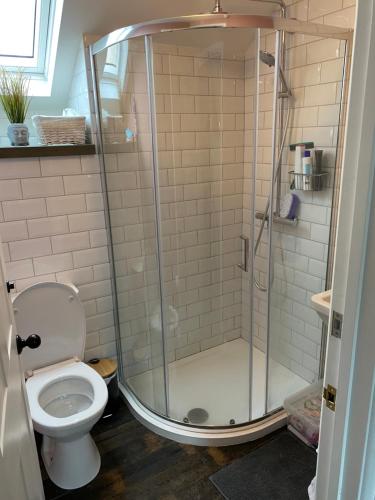 a bathroom with a shower and a toilet at Sunnyside cottage in Braunton