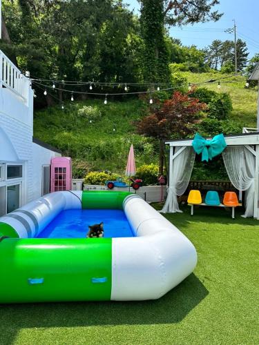 a large inflatable pool with a dog in the middle at Hahahoho Friend Pension in Tongyeong