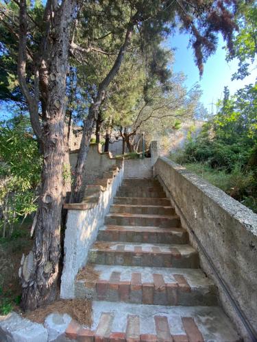 a set of stairs next to a tree at Casa Flora in Vietri sul Mare