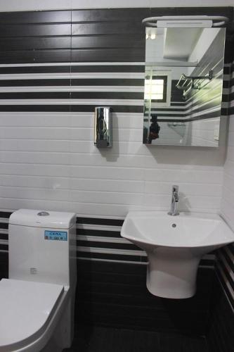 a bathroom with a sink and a toilet and a mirror at Jewel Homes Thattekad - ISO 9001 certified Birding & Family Nature Stay in Thattakād