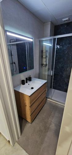 a bathroom with a sink and a shower at Apto Lux Sevilla in Seville