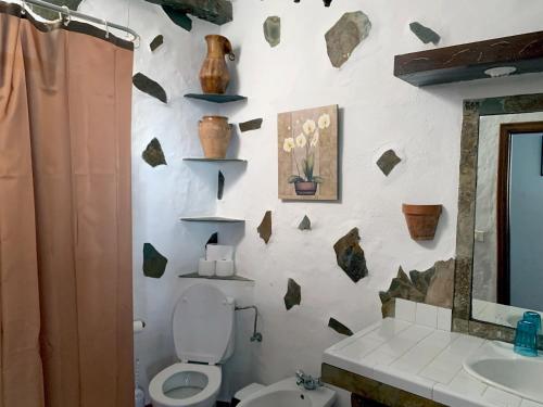 bagno con servizi igienici, lavandino e specchio di CASA RURAL CANARIA HOMBRE DE PALO a Santa Cruz de Tenerife